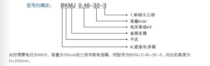 濾波電容器型號(hào)意義.jpg